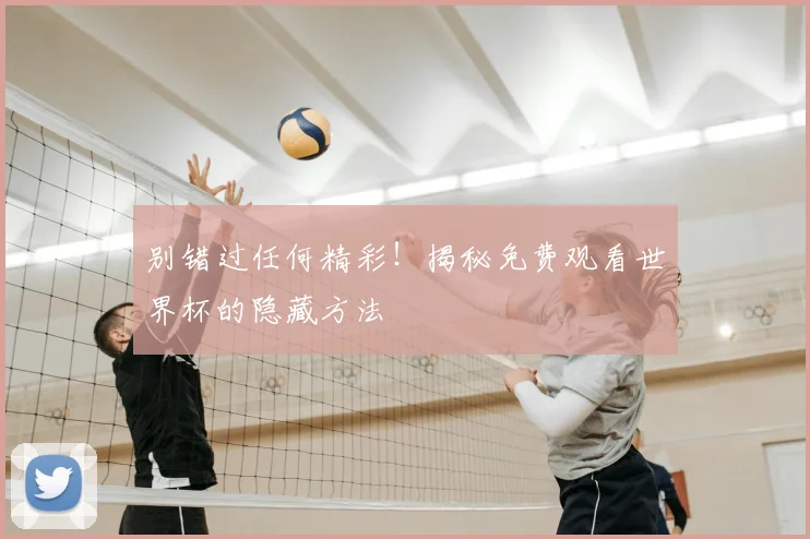 别错过任何精彩！揭秘免费观看世界杯的隐藏方法