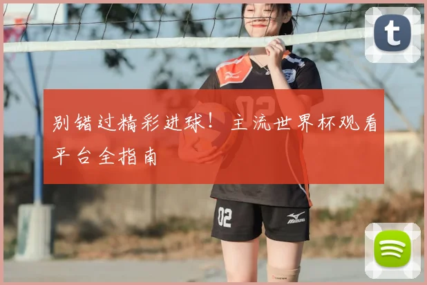 别错过精彩进球！主流世界杯观看平台全指南